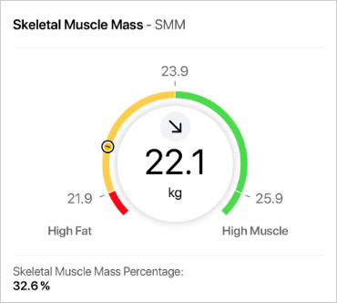 Skeletal muscle mass