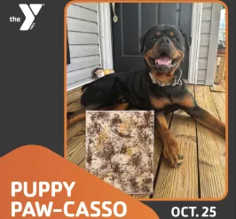 Puppy Paw-casso